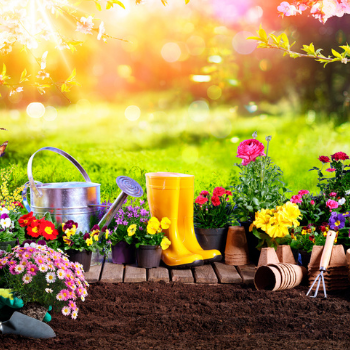 Give your garden a little love with this month’s Veggie Lotto bonus prize